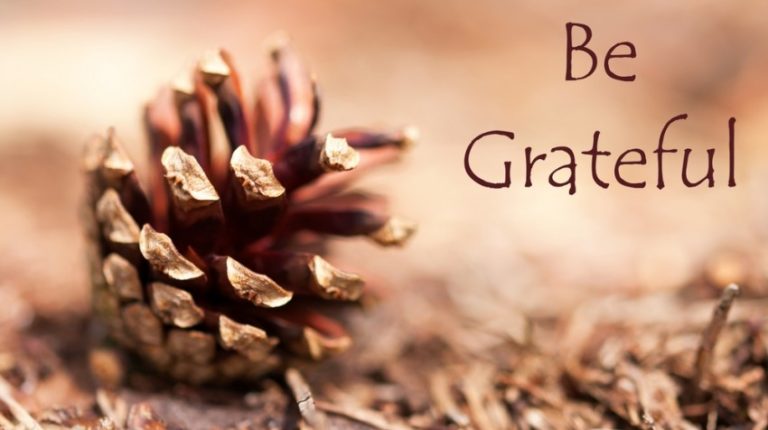 When Gratitude Becomes Your Default Setting, Life Changes