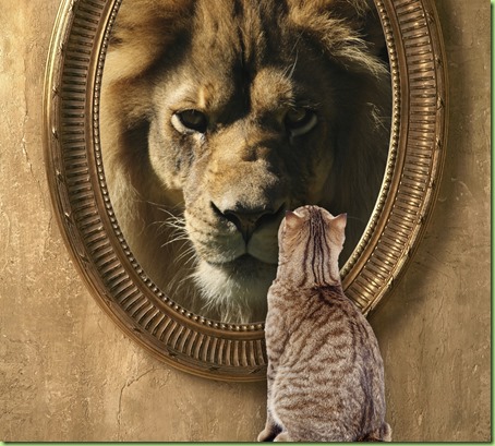 cat-looking-in-mirror-sees-lion_thumb[1]