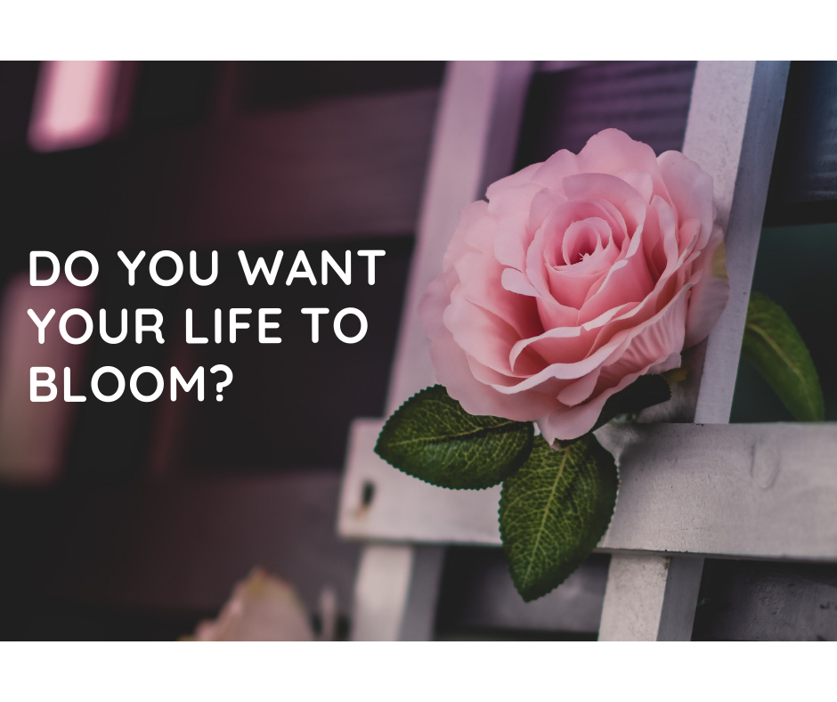 do you want your life to bloom_